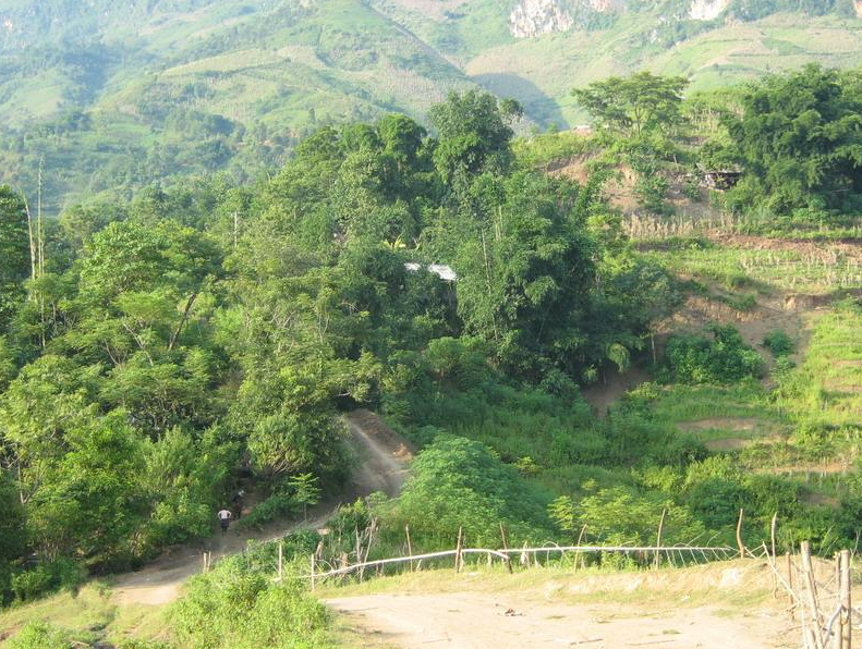 随州火石冲村