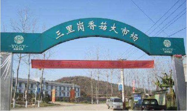 图片中的三里岗镇